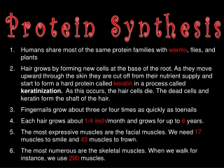 Protein Synthesis