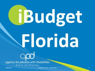 iBudget Florida The Waiver of the Future