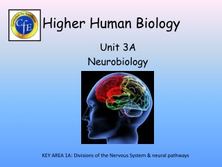 Higher Human Biology