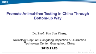 Dr. Prof.  Shu Jun Cheng
