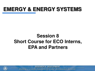 EMERGY &amp; ENERGY SYSTEMS