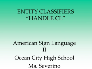 ENTITY CLASSIFIERS “HANDLE CL”