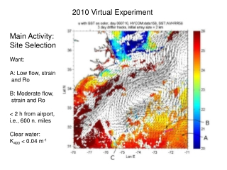 2010 Virtual Experiment