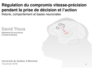 Régulation du compromis vitesse-précision pendant la prise de décision et  l’action