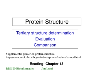 Protein Structure