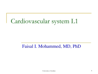 Cardiovascular system L1