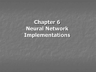 Chapter 6 Neural Network Implementations