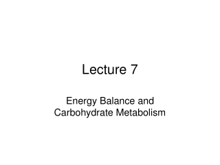 Lecture 7