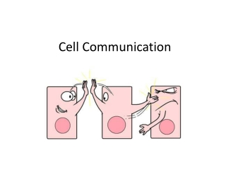 Cell Communication