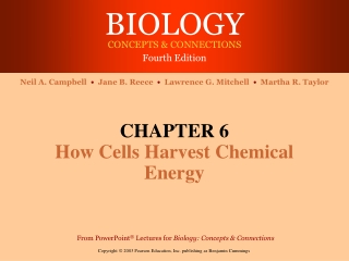 CHAPTER 6 How Cells Harvest Chemical Energy