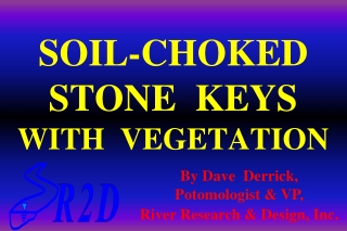 SOIL-CHOKED  STONE  KEYS   WITH  VEGETATION