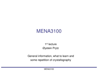 MENA3100