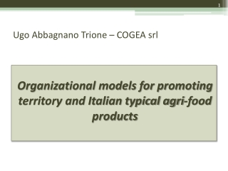 Ugo Abbagnano Trione – COGEA srl