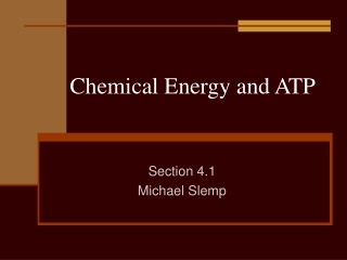 Chemical Energy and ATP