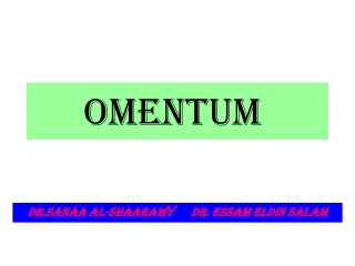 OMENTUM