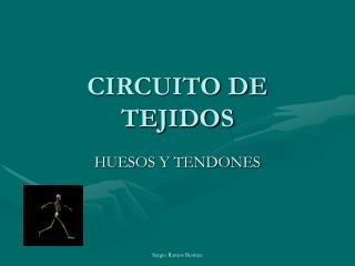 CIRCUITO DE TEJIDOS