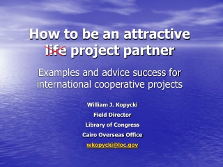 How to be an attractive life project partner