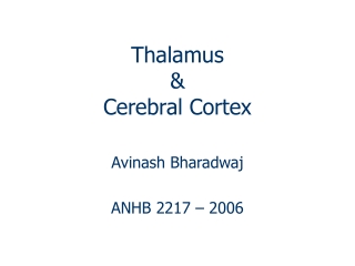 Thalamus &amp; Cerebral Cortex