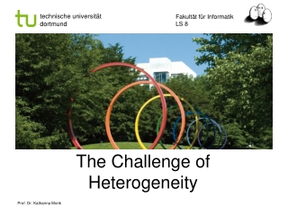 The Challenge of  Heterogeneity