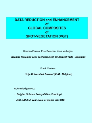 DATA REDUCTION and ENHANCEMENT  of  GLOBAL COMPOSITES  of SPOT-VEGETATION (VGT)