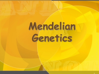 Mendelian  Genetics