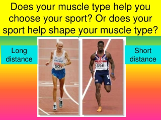 Does your muscle type help you choose your sport? Or does your sport help shape your muscle type?