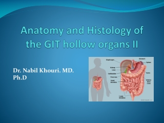 Anatomy and Histology of the GIT hollow organs II