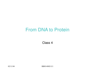 From DNA to Protein