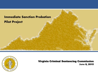 Immediate Sanction Probation  Pilot Project