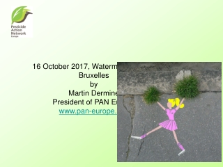 16 October 2017, Watermael Boitfort, Bruxelles by Martin Dermine President of PAN Europe