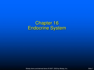 Chapter 16 Endocrine System