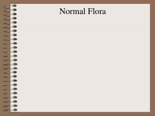 Normal Flora