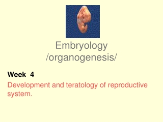 Embryology /organogenesis/