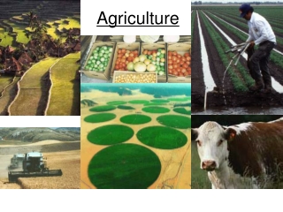 Agriculture