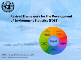 Revised Framework for the Development of Environment Statistics (FDES)