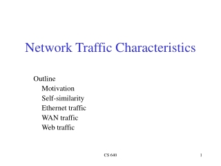 Network Traffic Characteristics