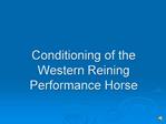Conditioning of the Western Reining Horse