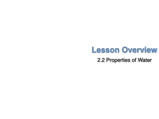 Lesson Overview