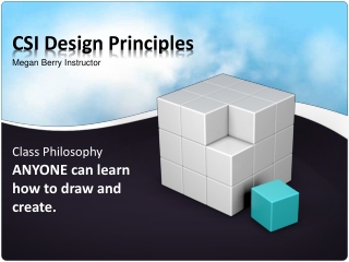 CSI Design Principles