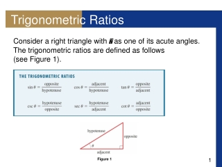 Trigonometric Ratios