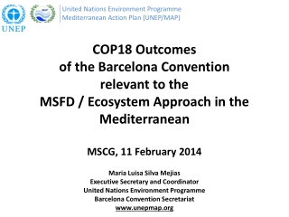 United Nations Environment  Programme Mediterranean Action Plan (UNEP/MAP)