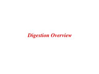 Digestion Overview