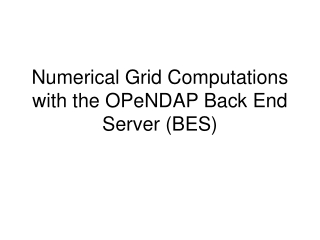 Numerical Grid Computations with the OPeNDAP Back End Server (BES)