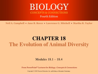 CHAPTER 18 The Evolution of Animal Diversity