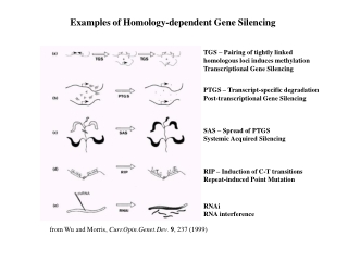 from Wu and Morris,  Curr.Opin.Genet.Dev .  9 , 237 (1999)