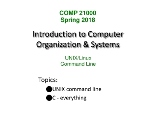 Introduction to Computer Organization &amp; Systems