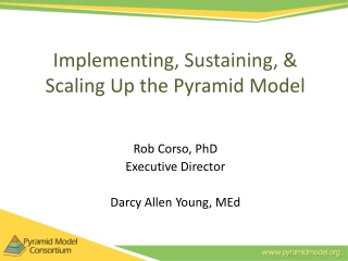 Implementing, Sustaining, &amp; Scaling Up the Pyramid Model