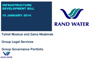 Tshidi Moalusi and Zama Nkabinde Group Legal Services Group Governance Portfolio