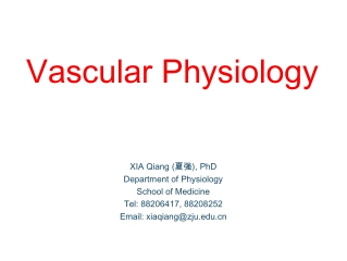 Vascular Physiology