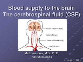 Blood supply to the brain The cerebrospinal fluid (CSF)